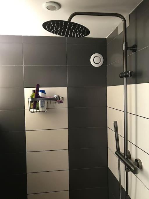 Studio 1 A 4 Pers, Proche Strasbourg, Europa-Park, Colmar إرستين المظهر الخارجي الصورة
